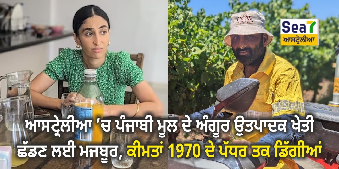 ਅੰਗੂਰ
