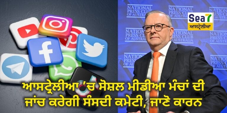Social Media
