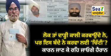 ਦਾੜ੍ਹੀ