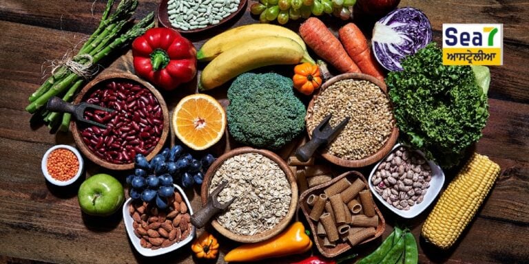 ਸ਼ਾਕਾਹਾਰੀ