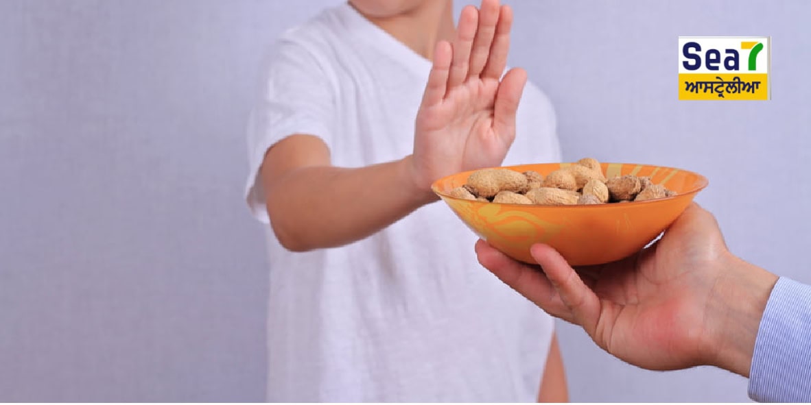 ਮੂੰਗਫਲੀ