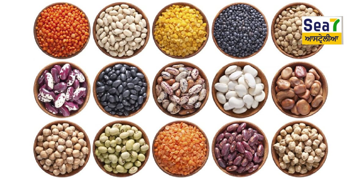 ਆਸਟ੍ਰੇਲੀਆ