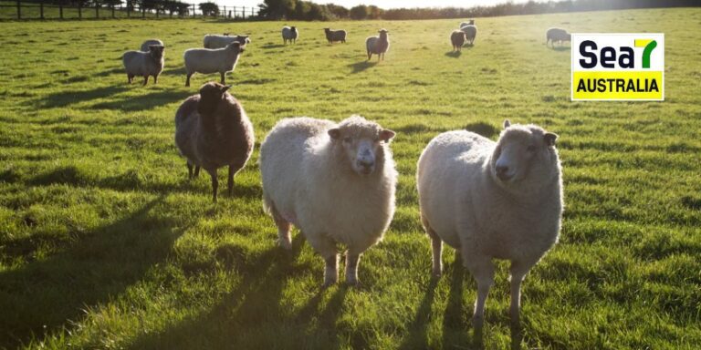 ਆਸਟ੍ਰੇਲੀਆ