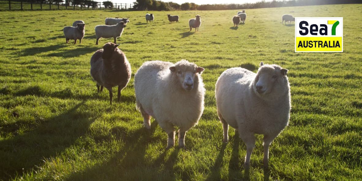 ਆਸਟ੍ਰੇਲੀਆ