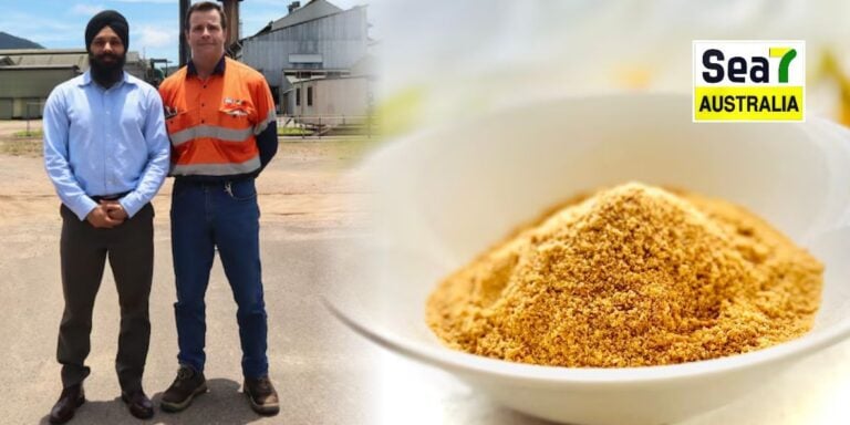 ਆਸਟ੍ਰੇਲੀਆ