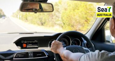 ਲਾਇਸੈਂਸ