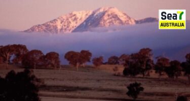 ਵਿਕਟੋਰੀਆ